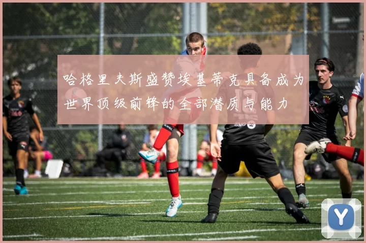 哈格里夫斯盛赞埃基蒂克具备成为世界顶级前锋的全部潜质与能力